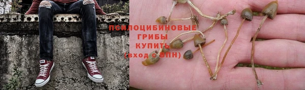 винт Белокуриха