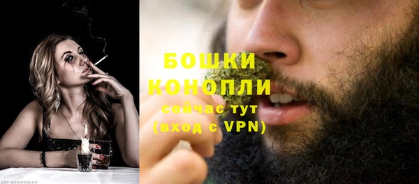 ПСИЛОЦИБИНОВЫЕ ГРИБЫ Нея